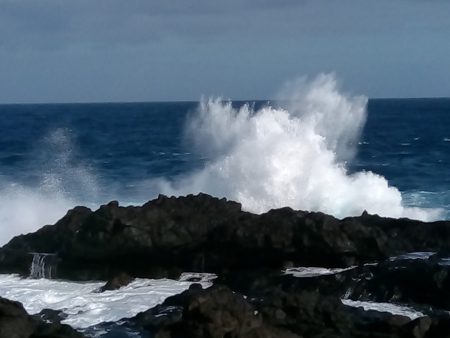 Surfeando la OLA de la vida – Danza Meditación ; un domingo al mes en el sur de Tenerife